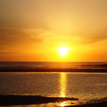 Отель Palm Club *